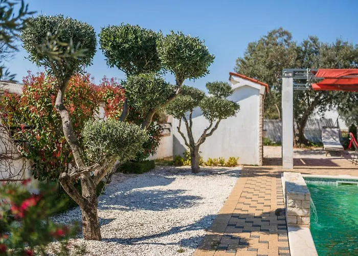 House Tiffany Galižana